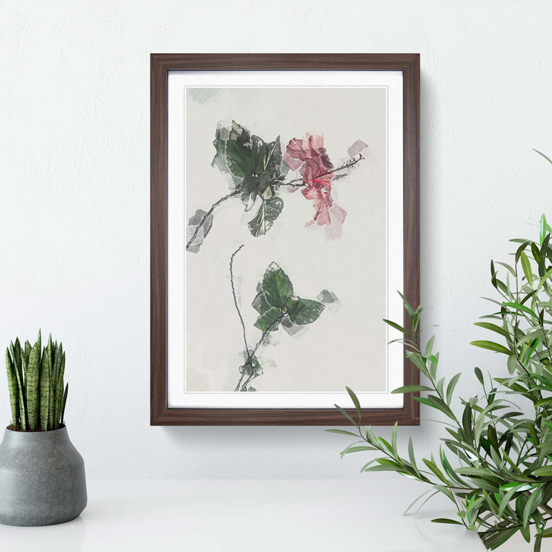 Pink Hibiscus Plant in Abstract - Framed Print, Walnut, 76cm H x 50cm W x 2cm D