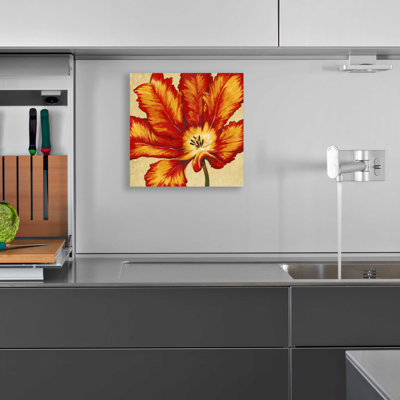 " Parrot Tulip II " by Tim O'Toole