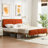 Nelsie Upholstered Platform Bed with Velvet Tufted Headboard-943182622-996180399