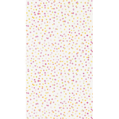 10.05m x 52cm Matte Wallpaper Roll