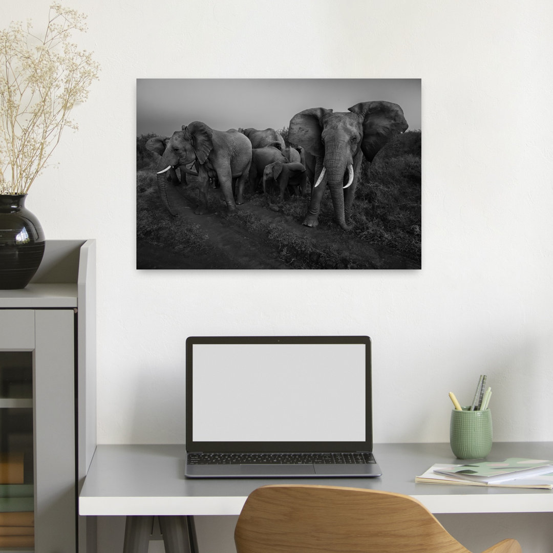 Wild Elephant Herd Dramatic Contemporary Elephant Landscape Nature Wall Art Print