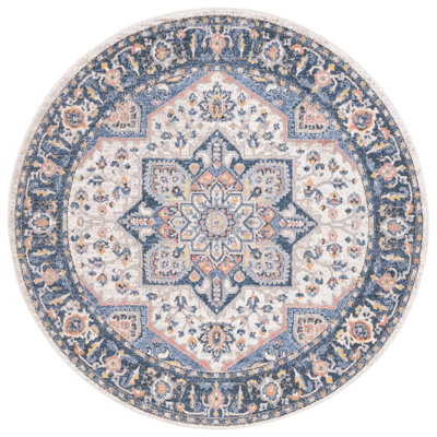 Astoria Performance Oriental Rug