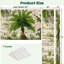Cloison pliante 4 panneaux Royal Tropical Vintage-253139906-253139907