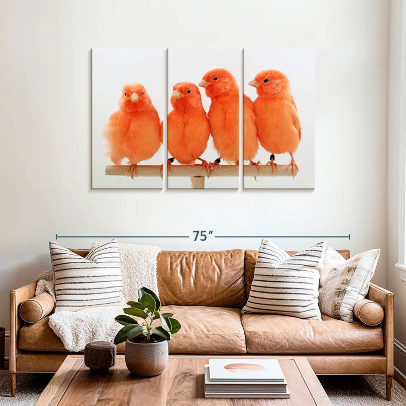 Canari rouge Brampt, H 36 po x l 57 po