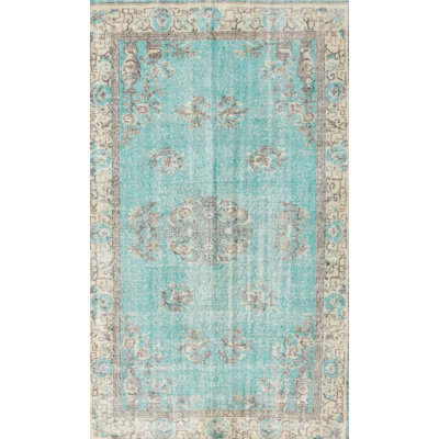 Wilna Oriental Indoor Rug