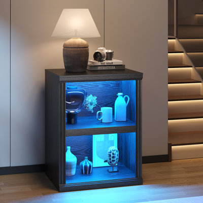 Display Cabinet with LED Lights, 2 Tier Open Bookcase, Freestanding End Table