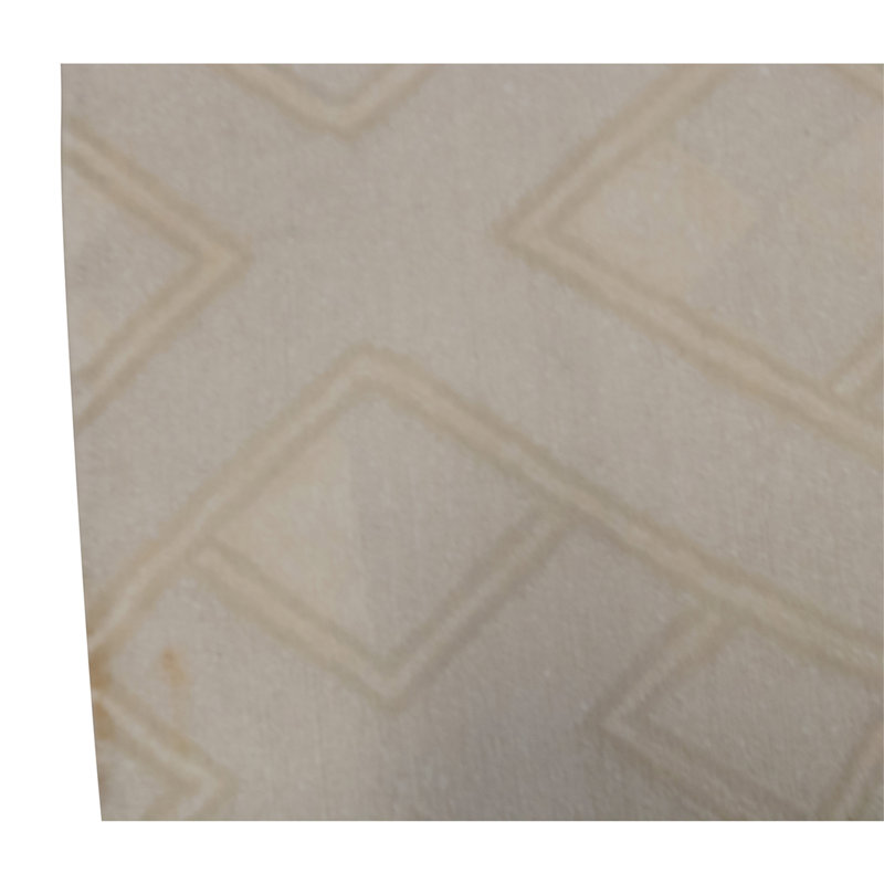 Hand Knotted Geometric Area Rug in Beige