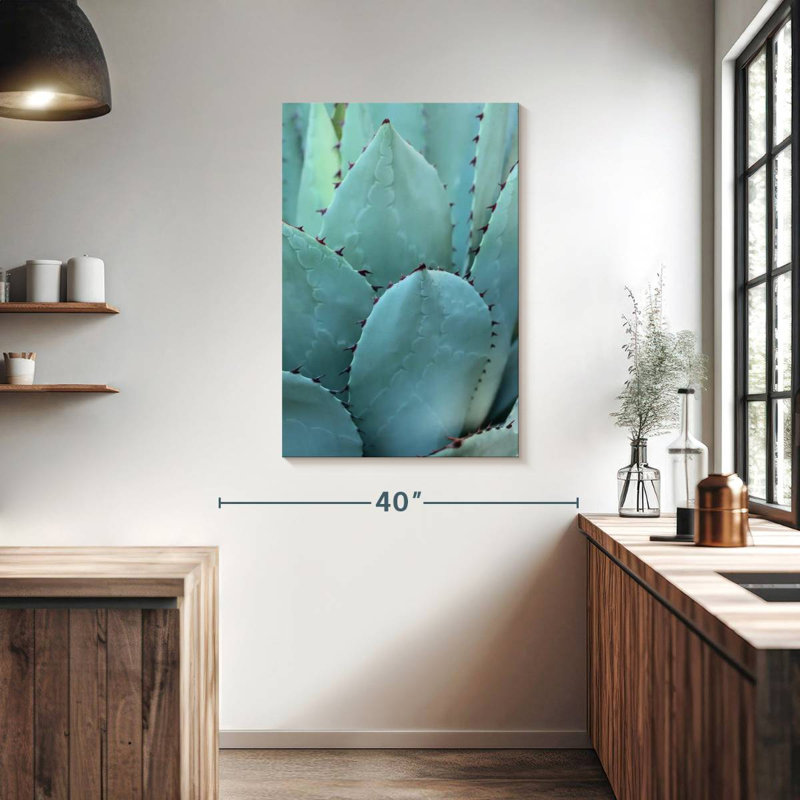 Agave Harnek Thorny, H 39 po x l 26 po