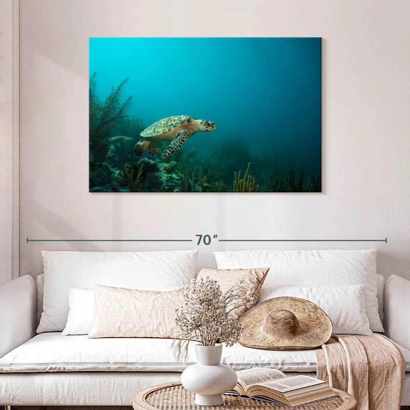 Crowle Caribbean Hawksbill Sea Turtle