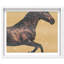 Hue Equine II Framed Graphic Art-9748353-255454728