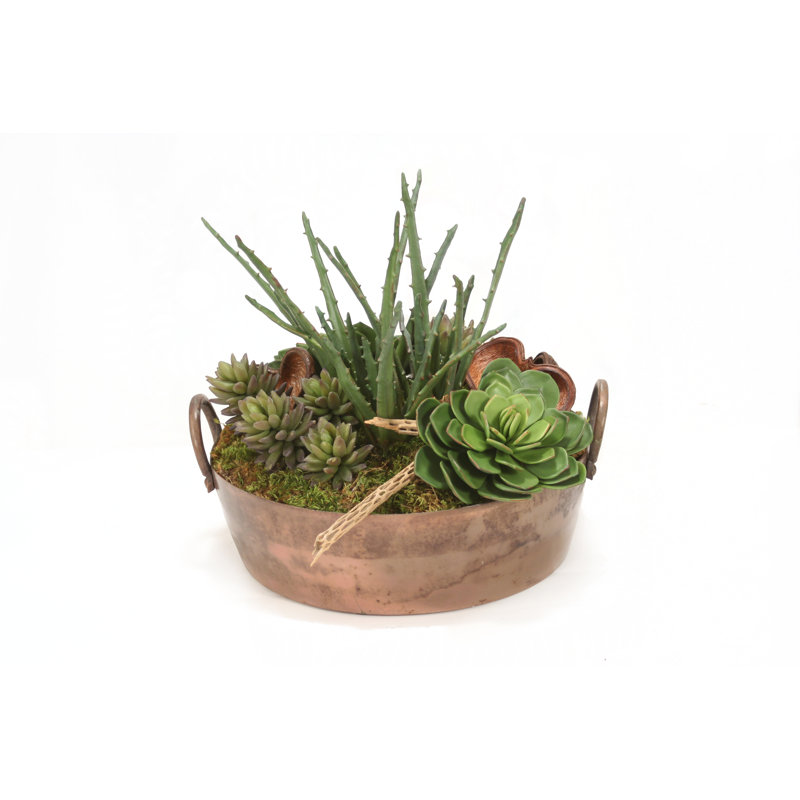 Plante grasse artificielle 15 po en pot