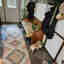 Photos des clients 1 de 1