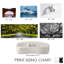 Parrot Pose Print-59678939-59773097