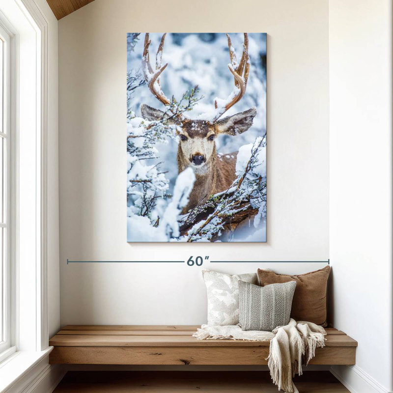 Brampt Winter Mule Deer, 48" H x 32" W