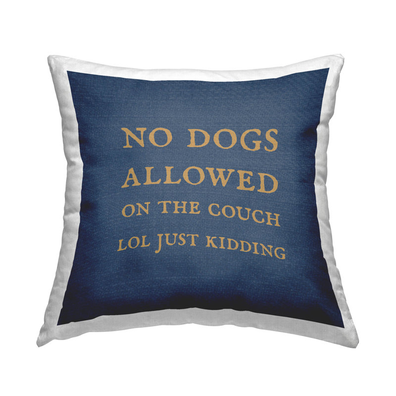 Throw Pillow, Blue/Yellow