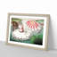 Blooming Gigantic Water Lily by William Sharp - Picture Frame Art Print-55545291-55545292