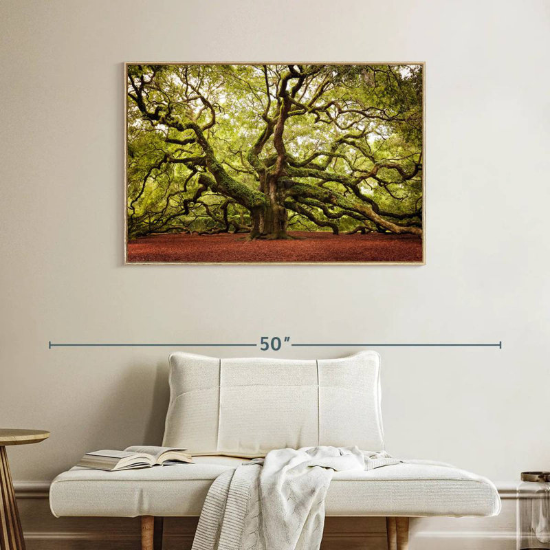 Chêne Charleston Angel, Cadre flottant en bois naturel, 40 po x 27 po
