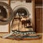  Washable Cattle Drive Southwestern Area Rug-995174761
