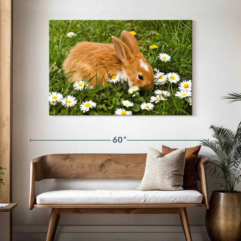 Brampt marguerites et lapin, H 32 po x l 48 po