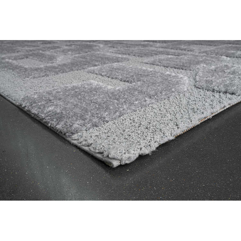 Chanique Area Rug, Rectangle 16.9 x 290cm