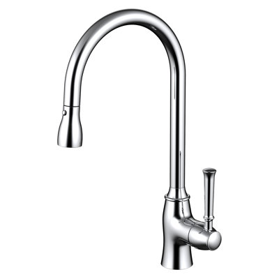 Valley Acrylic Ltd. Pull Down Kitchen Faucet