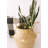 20 - Bulb 75'' Battery Powered Novelty String Light