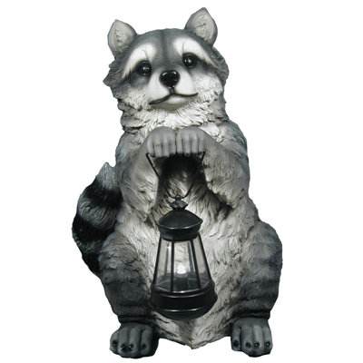 Statue racoon avec lanterne Keanu