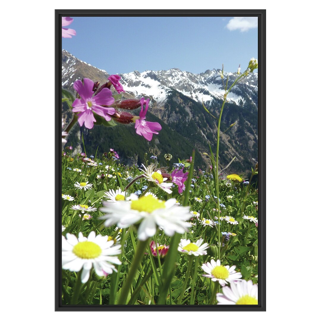 Gerahmtes Wandbild Wunderschöne Blumen Alpenwiese