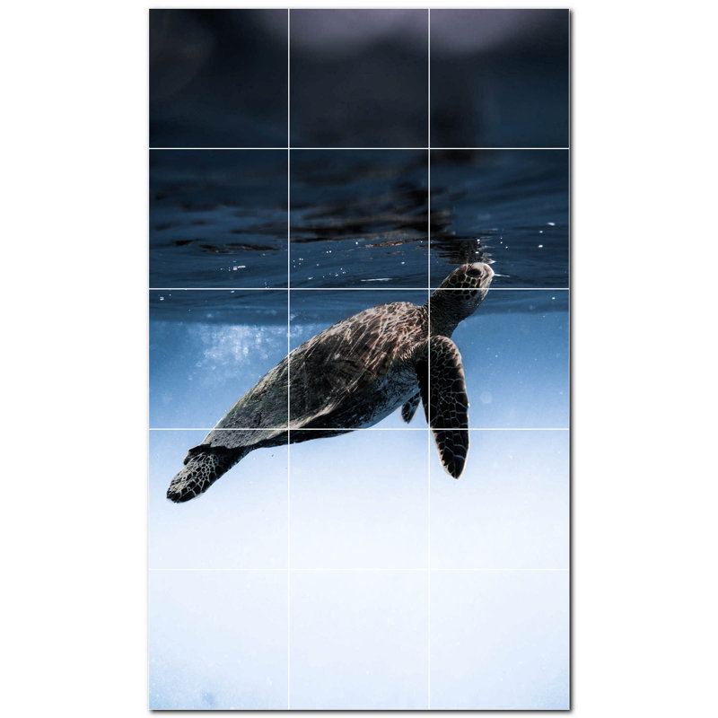 Tortue photo 8 x 8