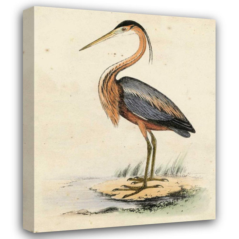 «Red Barrel Studio® Inconnu», art sur toile tendue, Antique Heron II