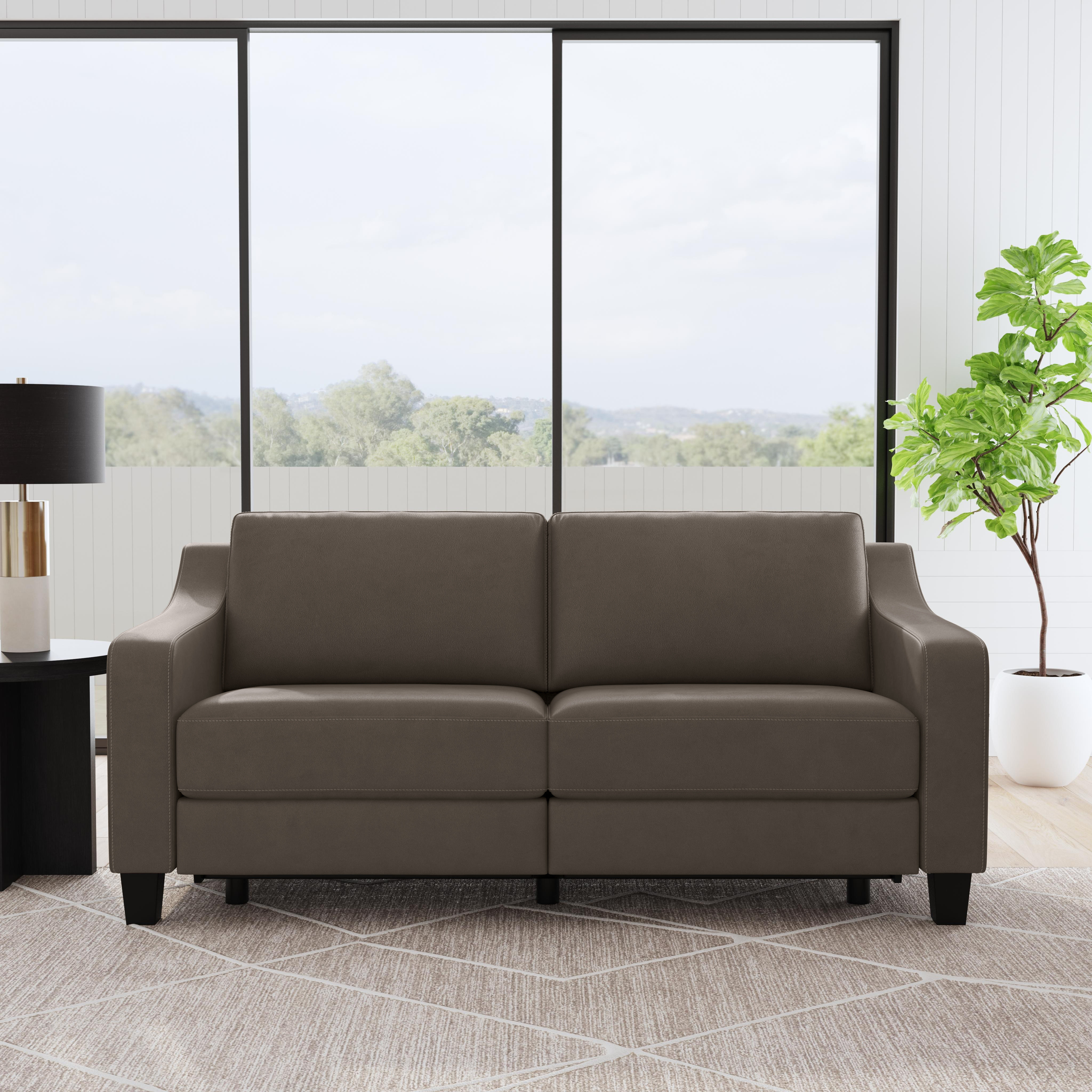 Birch lane reclining discount sofa