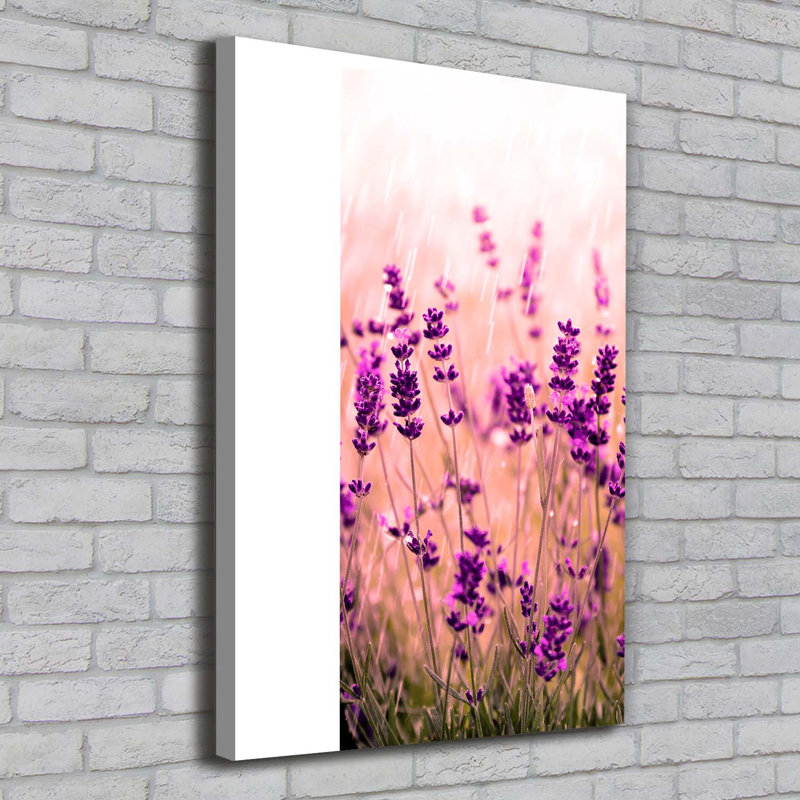 Lavender Field - Wrapped Canvas Print