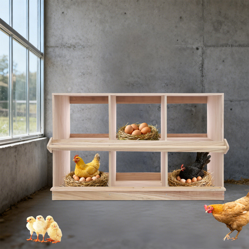 6 Hole Wood Nesting Box For Chickens