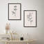 «Morning Glory Flowers», art moderne minimaliste, impressions encadrées, affiches, petit art mural de salle de bain-104788188-104788183