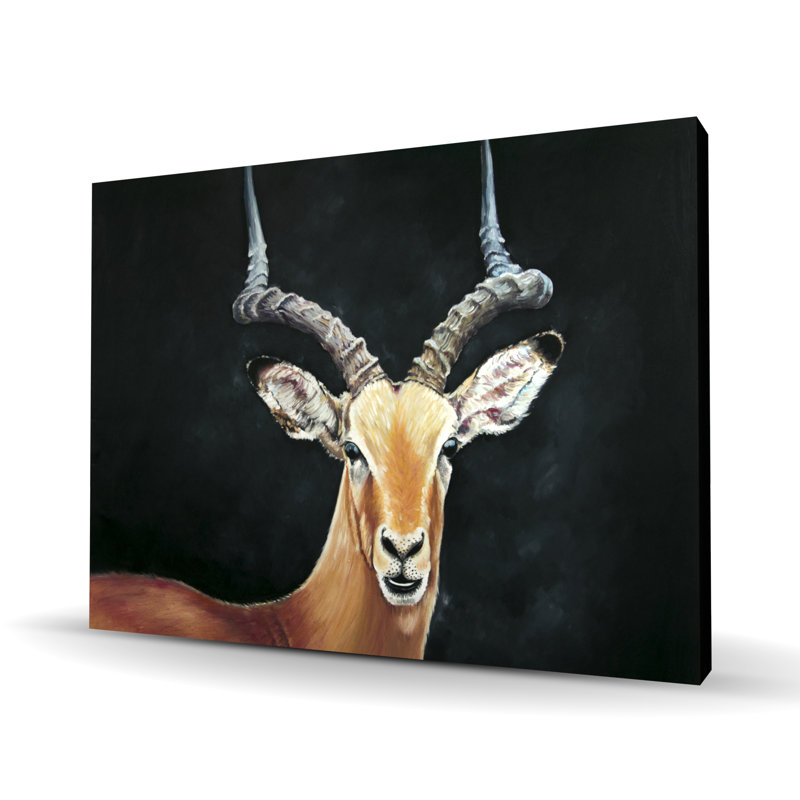 Antilope - Toile grotte pour animaux
