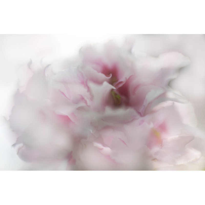 Hope In Pink I by Gillian Hunt - Wrapped Canvas Print, 81cm H x 122cm W