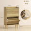 12 - Pair Shoe Storage Cabinet