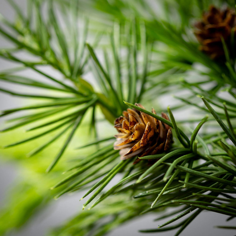 Couronne de Noël en cèdre artificiel vert 23 po, vert