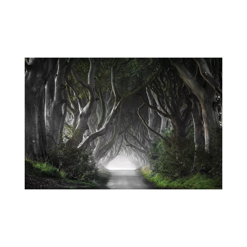 Dark Hedges by Nicola Molteni - Wrapped Canvas Gallery-Wrapped Canvas Giclée, 66.04 cm H x 45.72 cm W x 1.91 cm D