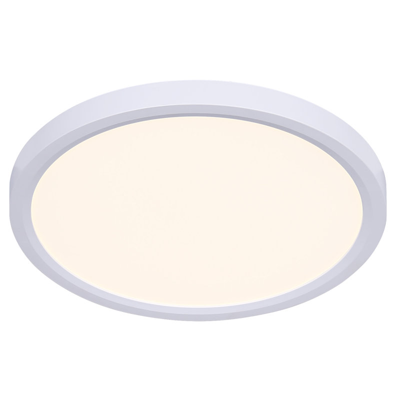 11.81 Inch LED Flush Mount