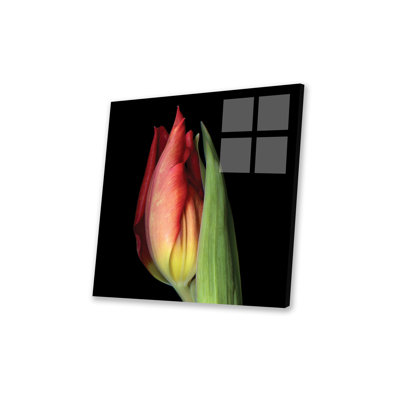 " Tulip XXI " by Magda Indigo