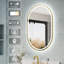 ZC-Mirror l 24 po x H 36 po mural miroir de salle de bain ovale à DEL avec fonction mémoire-105300939-105300938