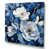 Toile tendue