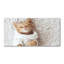 Lorns 50cm W x 100cm L Glass Peel and Stick Panel