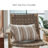 Benish Pillow (Set Of 4)