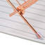 Dish Rack-2095099321