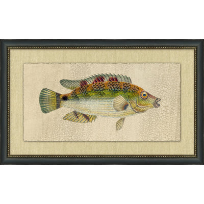 Fish Study 3 Painting