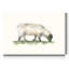 Reproduction d’art sur toile tendue « pâturage Farm animal III »-444012201