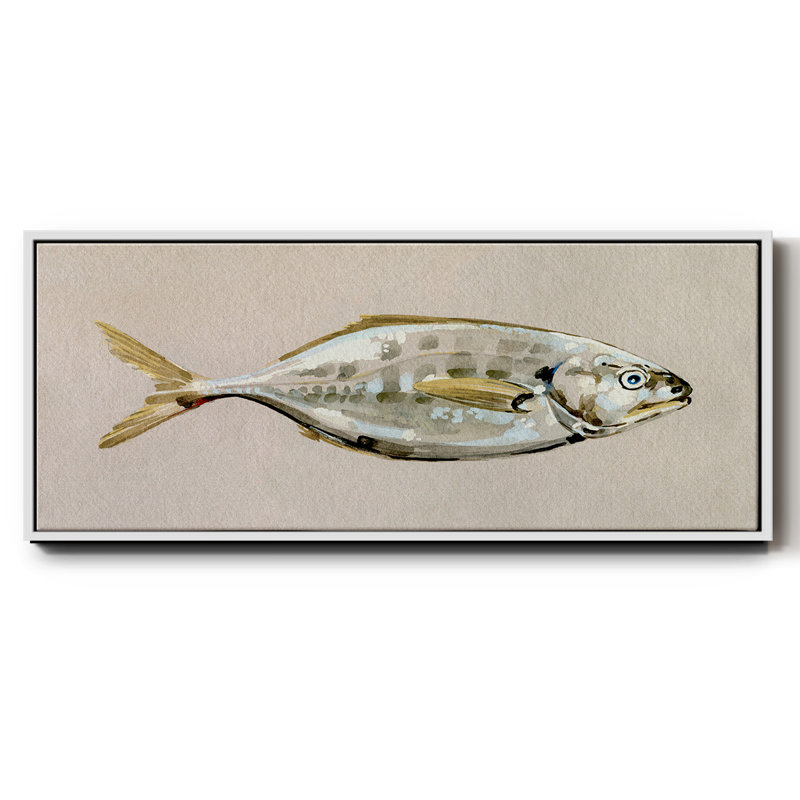 «Fresh Fish Study I», toile encadrée de qualité supérieure - prête à être accrochée, H 12 po x l 30 po x P 1,5 po