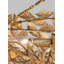 Kelan 3 - Light Semi Flush Mount-1349742169